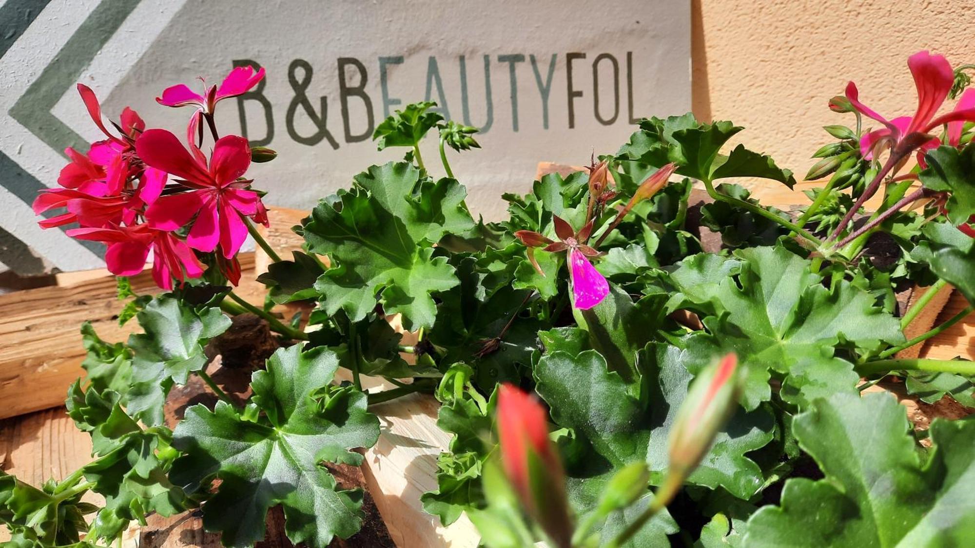 B&B B&Beautyfol Dolomites Adults Only Predazzo Eksteriør bilde